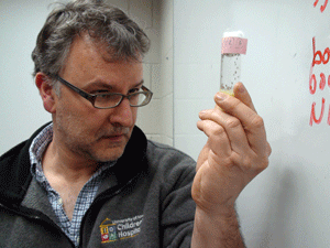 John Manak examines a vial of fruit flies