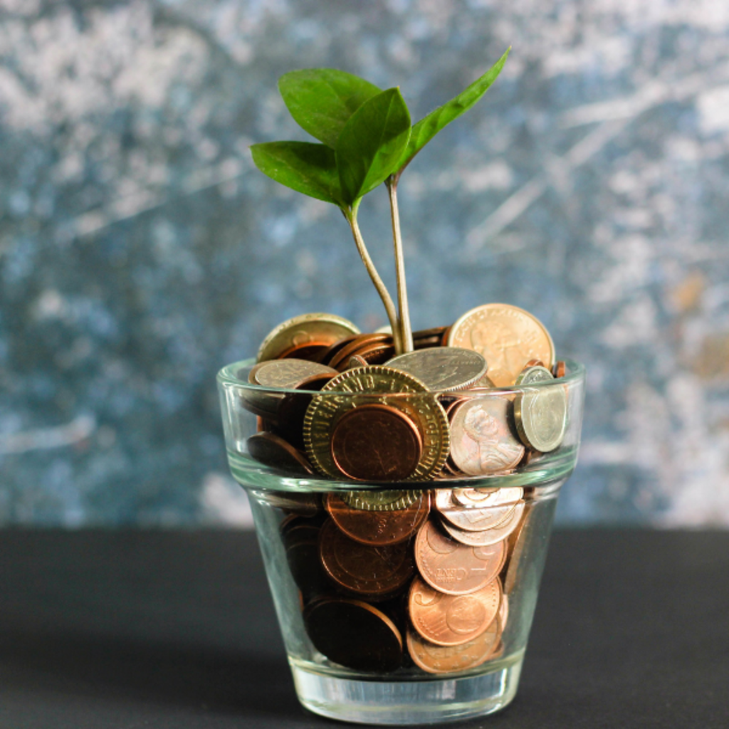plant growing out of a cup of coins